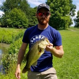 Meet your Posher, Joey